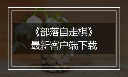 《部落自走棋》最新客户端下载