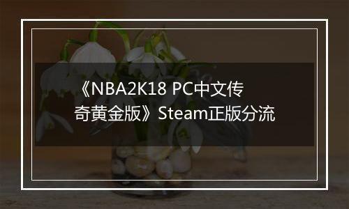 《NBA2K18 PC中文传奇黄金版》Steam正版分流