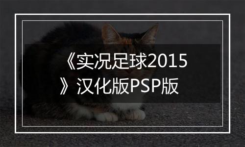 《实况足球2015》汉化版PSP版