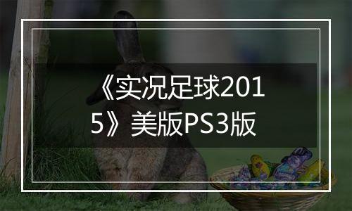 《实况足球2015》美版PS3版