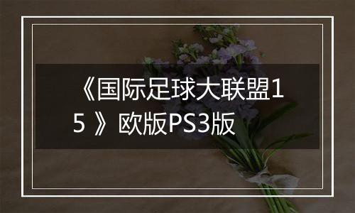 《国际足球大联盟15 》欧版PS3版