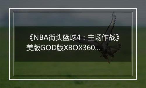 《NBA街头篮球4：主场作战》美版GOD版XBOX360版