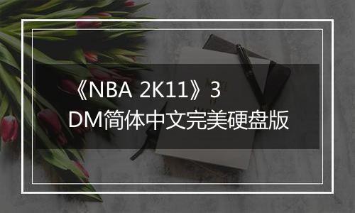 《NBA 2K11》3DM简体中文完美硬盘版最新版