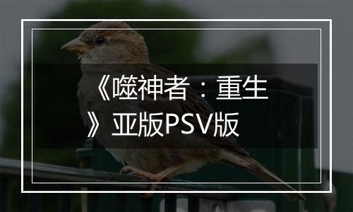 《噬神者:重生》亚版PSV版