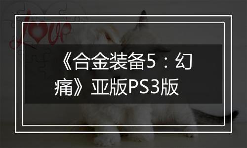 《合金装备5：幻痛》亚版PS3版