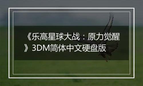 《乐高星球大战:原力觉醒》3DM简体中文硬盘版