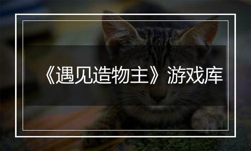 《遇见造物主》游戏库