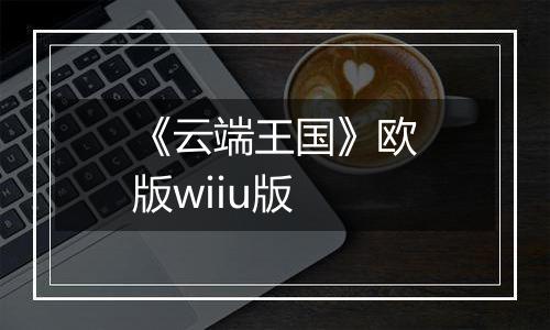 《云端王国》欧版wiiu版