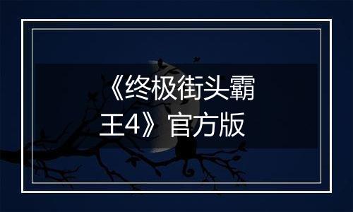 《终极街头霸王4》官方版