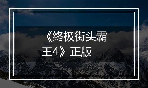 《终极街头霸王4》正版