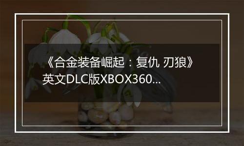 《合金装备崛起:复仇 刃狼》 英文DLC版XBOX360版