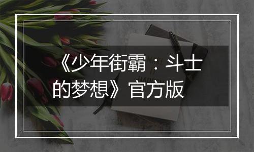 《少年街霸：斗士的梦想》官方版