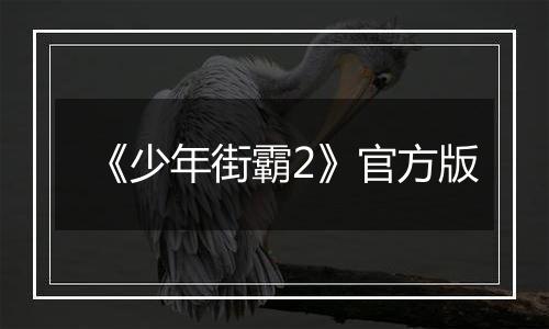 《少年街霸2》官方版