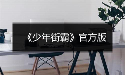 《少年街霸》官方版