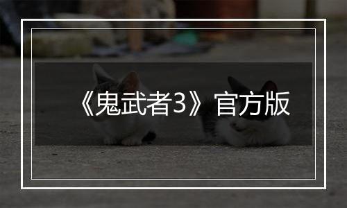 《鬼武者3》官方版