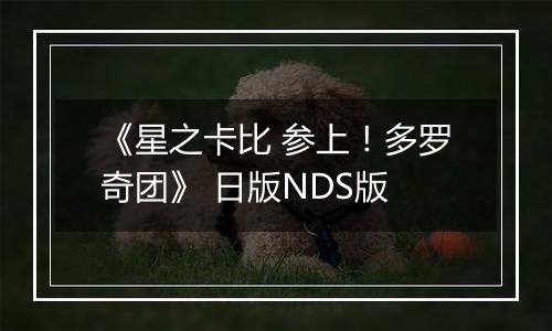 《星之卡比 参上!多罗奇团》 日版NDS版
