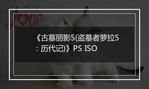 《古墓丽影5(盗墓者萝拉5:历代记)》PS ISO