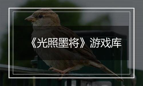 《光照墨将》游戏库