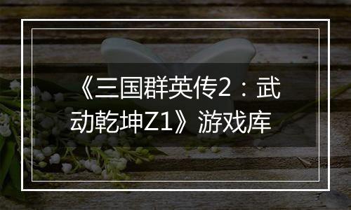 《三国群英传2：武动乾坤Z1》游戏库
