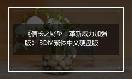 《信长之野望：革新威力加强版》 3DM繁体中文硬盘版