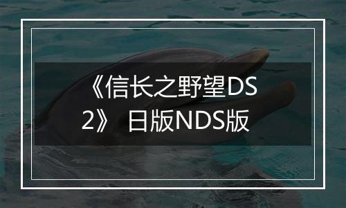 《信长之野望DS 2》 日版NDS版