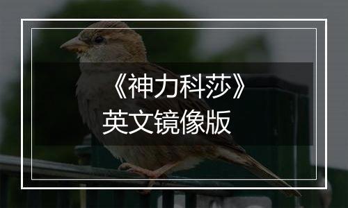 《神力科莎》英文镜像版最新版