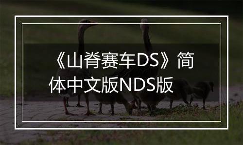 《山脊赛车DS》简体中文版NDS版最新版