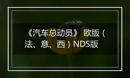 《汽车总动员》 欧版(法、意、西)NDS版最新版