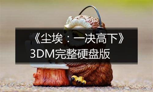 《尘埃:一决高下》3DM完整硬盘版最新版