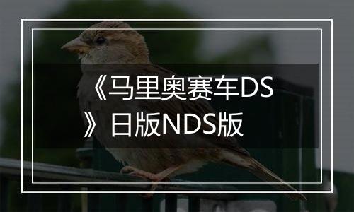 《马里奥赛车DS》日版NDS版最新版