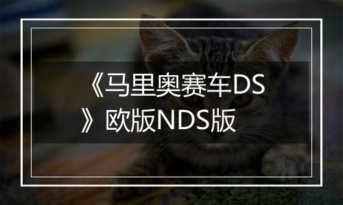 《马里奥赛车DS》欧版NDS版最新版