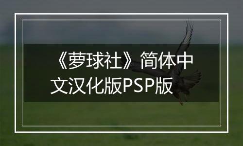 《萝球社》简体中文汉化版PSP版