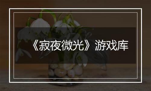 《寂夜微光》游戏库