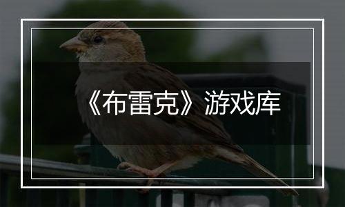 《布雷克》游戏库