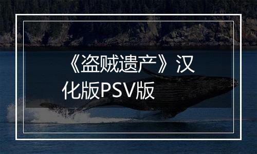 《盗贼遗产》汉化版PSV版