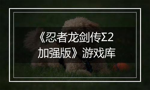 《忍者龙剑传Σ2 加强版》游戏库