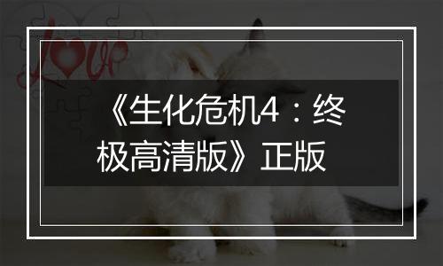 《生化危机4:终极高清版》正版