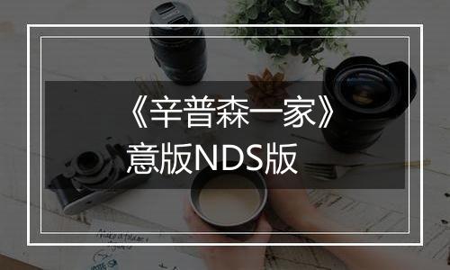 《辛普森一家》 意版NDS版