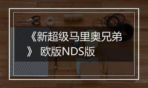 《新超级马里奥兄弟》 欧版NDS版
