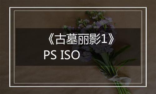 《古墓丽影1》PS ISO
