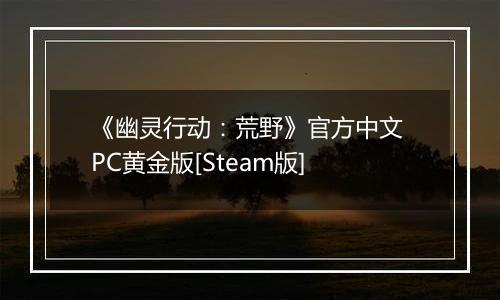 《幽灵行动：荒野》官方中文 PC黄金版[Steam版]