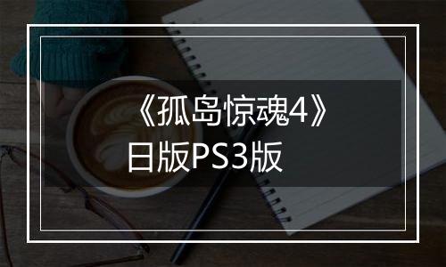 《孤岛惊魂4》日版PS3版