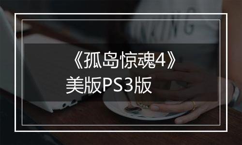 《孤岛惊魂4》美版PS3版