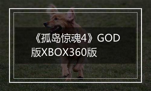 《孤岛惊魂4》GOD版XBOX360版