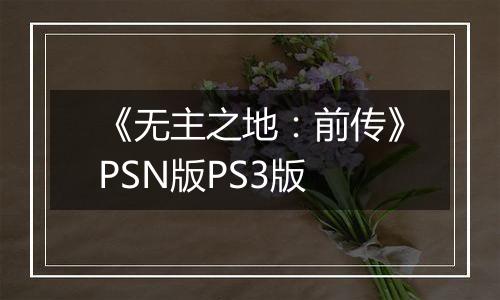 《无主之地:前传》PSN版PS3版