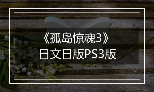 《孤岛惊魂3》 日文日版PS3版