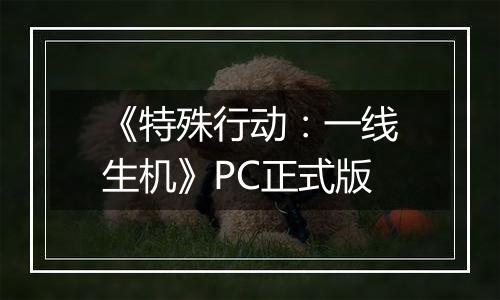《特殊行动：一线生机》PC正式版