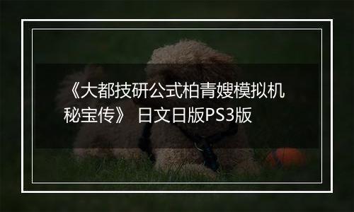 《大都技研公式柏青嫂模拟机 秘宝传》 日文日版PS3版