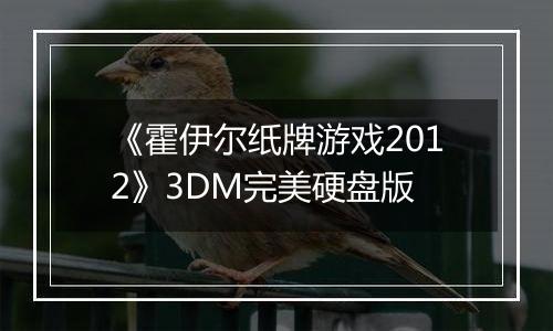 《霍伊尔纸牌游戏2012》3DM完美硬盘版