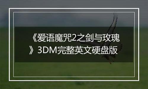 《爱语魔咒2之剑与玫瑰》3DM完整英文硬盘版